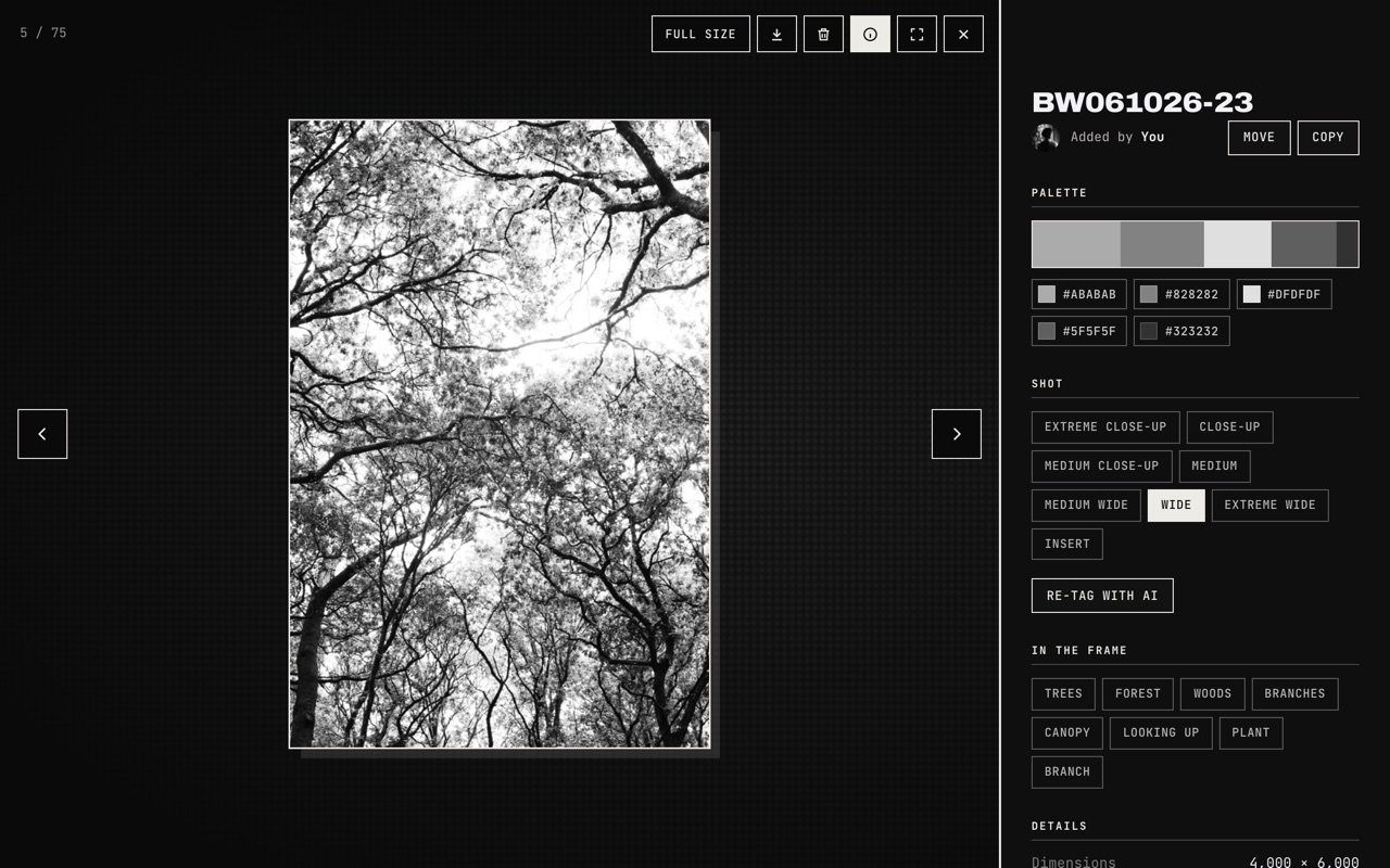 An image open in Framebank with its palette, shot type and tags beside it